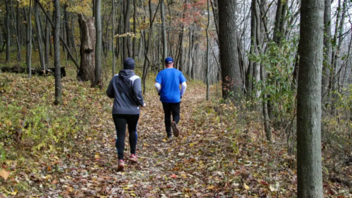 Dos personas corren de espaldas por un sendero cubierto de hojas en un bosque en otoño