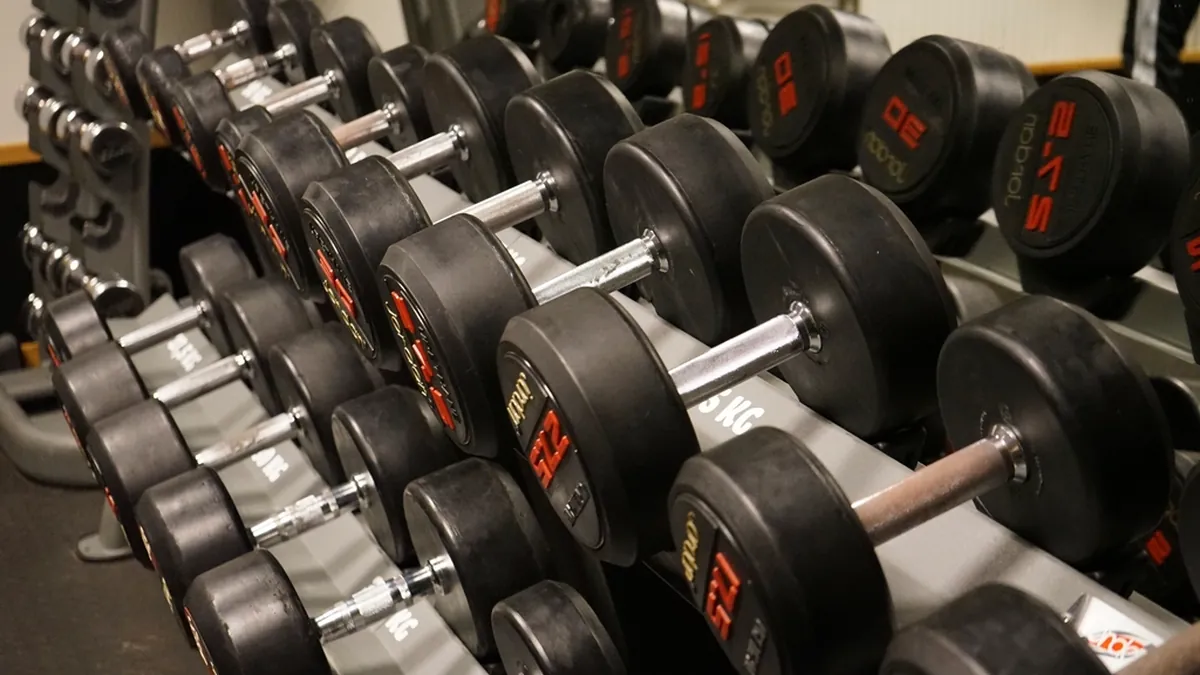 Hileras de mancuernas colocadas en soportes de gimnasio